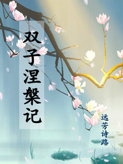 ˫